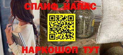 спиды Заводоуковск