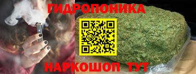 спиды Заводоуковск
