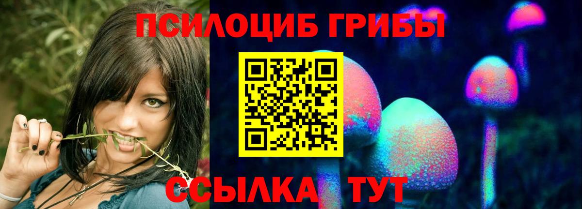 Валуйки  Галлюциногенные грибы ЛСД  Вход с VPN 